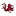 South Carolina Gamecocks